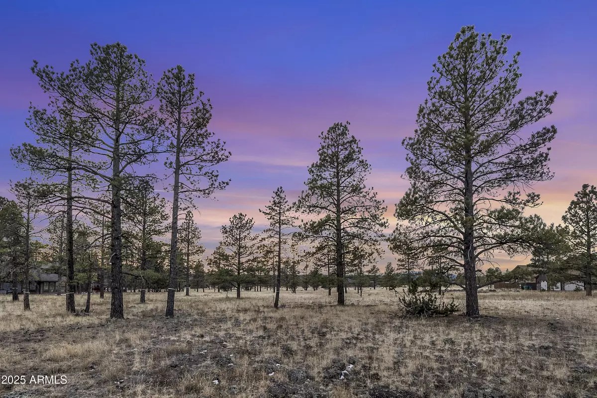 Flagstaff, AZ 86001,3353 N Cazadero Trail #-