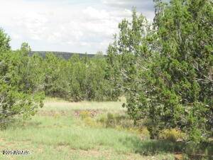 Williams, AZ 86046,12773 N Rustler Trail #325