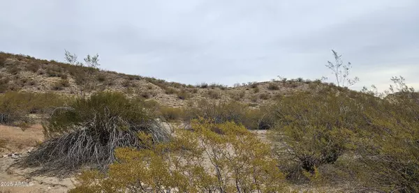 Kingman, AZ 86401,E Marble Drive E #34-5
