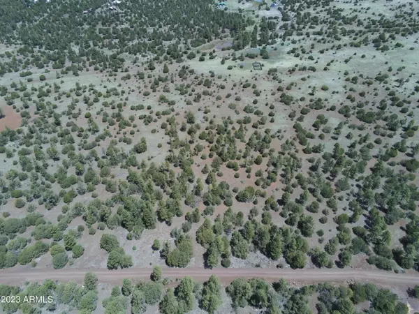 Vernon, AZ 85940,ACR N3263 Parcel 1 -- #034