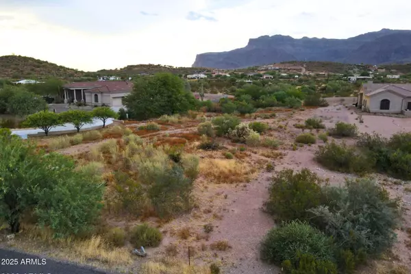 Gold Canyon, AZ 85118,0 E Baseline Avenue #-