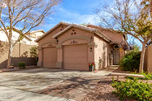 525 S 100TH Way, Mesa, AZ 85208