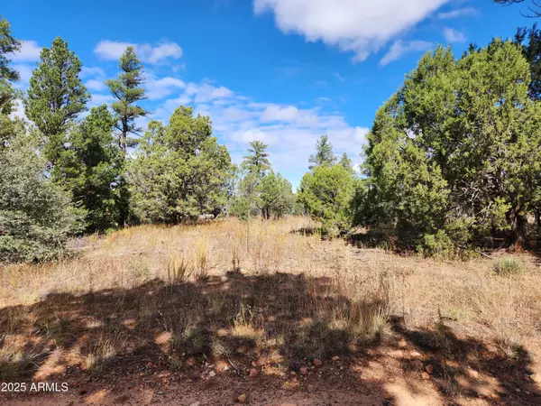 Show Low, AZ 85901,6662 STATE ROUTE 260 -- #-