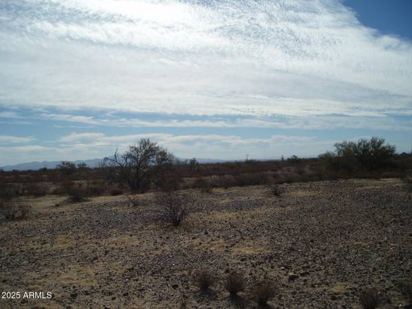 Unincorporated County, AZ 85390,34375 W Carefree Highway #23