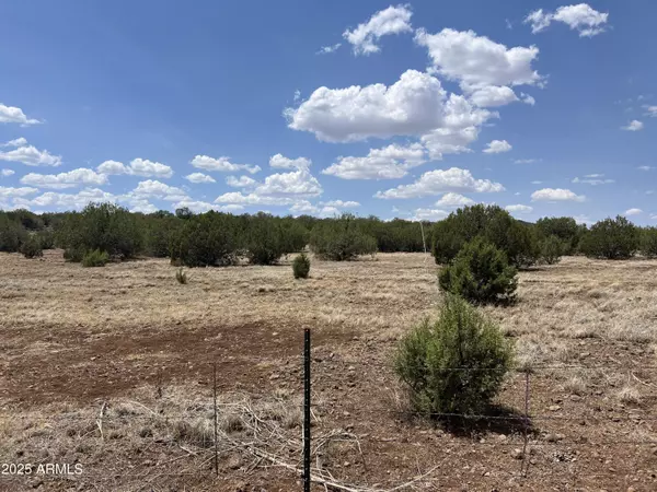 Ash Fork, AZ 86320,11 W Route 66 -- #11