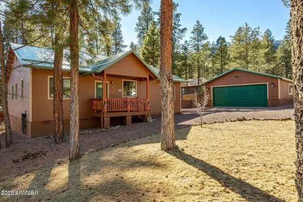 6 COUNTY ROAD 2191 --, Alpine, AZ 85920