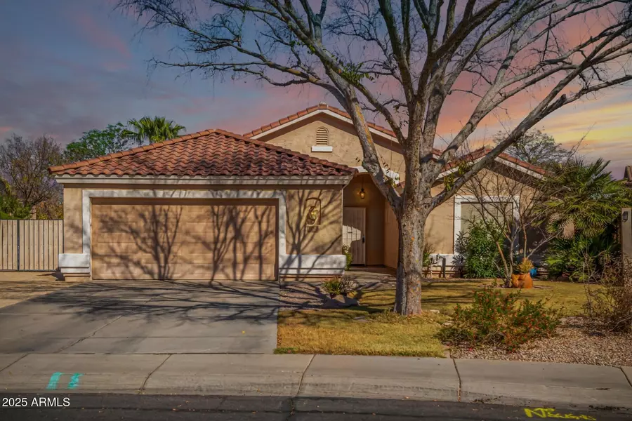 1182 E JASPER Drive, Gilbert, AZ 85296