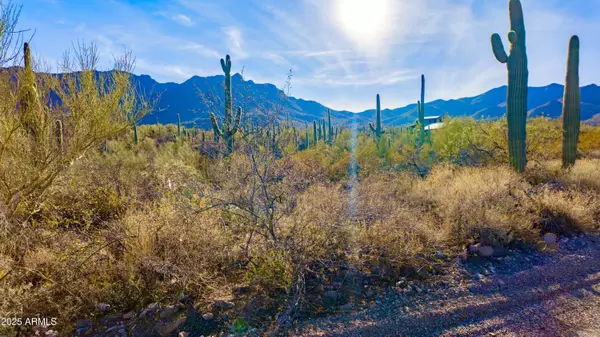 Tucson, AZ 85745,6840 W SWEETWATER Drive #-