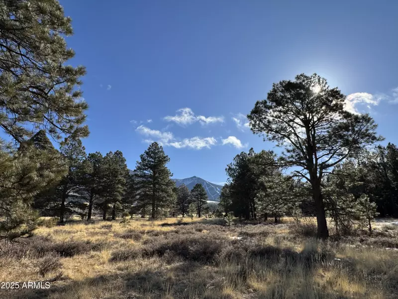 3 Hart Prairie Rd -- #-, Flagstaff, AZ 86001