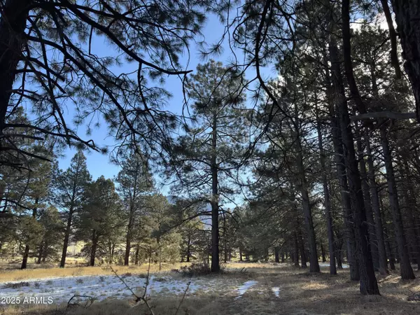 Flagstaff, AZ 86001,3 Hart Prairie Rd -- #-