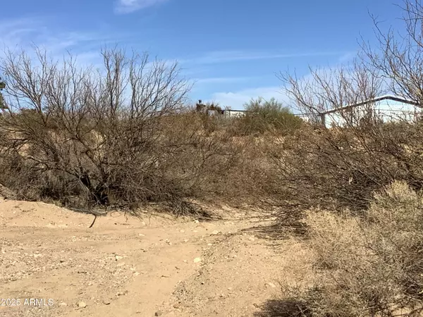 Safford, AZ 85546,23 S Yavapai Drive #272