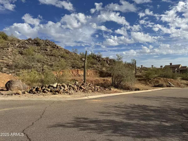Gold Canyon, AZ 85118,5289 S CARIOTT Court #-