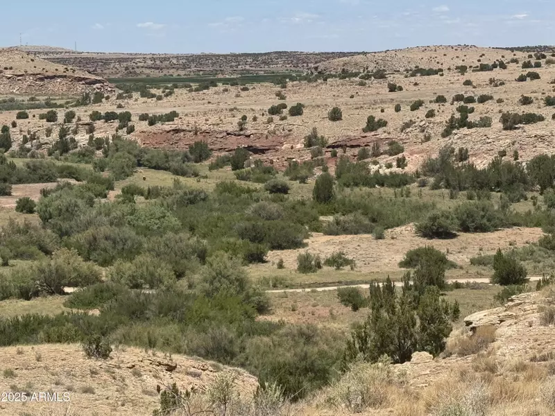 95 River Springs Ranch -- #095, St Johns, AZ 85936