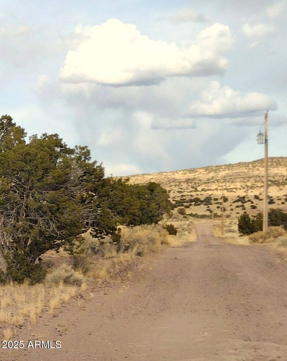 St Johns, AZ 85936,95 River Springs Ranch -- #095