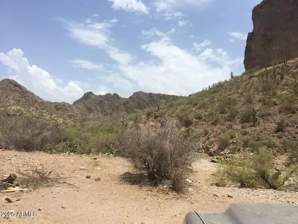 Morristown, AZ 85342,37750 S FRENCH CREEK/COW CREEK LOT 53 Road #53