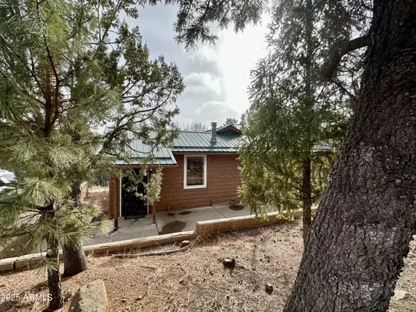 259 N Big Als Run --, Payson, AZ 85541