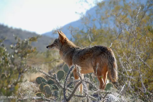 Cave Creek, AZ 85331,40445 N 32ND Street