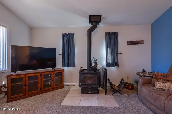 Overgaard, AZ 85933,2746 PINE VIEW Court