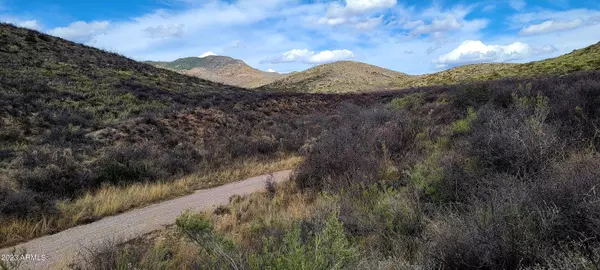 9 W Red Mountain Road #9, Bisbee, AZ 85603