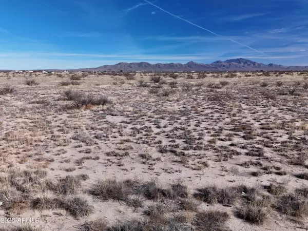 Willcox, AZ 85643,2 Joe Hines Road Parcel C -- #24