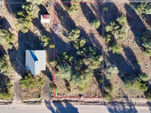 Show Low, AZ 85901,1845 SILVER LAKE Boulevard #8
