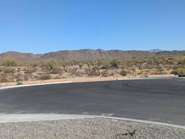Gold Canyon, AZ 85118,18896 E BRUNO Drive
