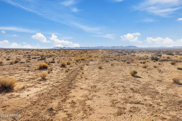 Dolan Springs, AZ 86441,12575 N Bee Drive #' _ '