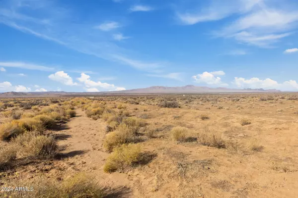 Dolan Springs, AZ 86441,12575 N Bee Drive #' _ '