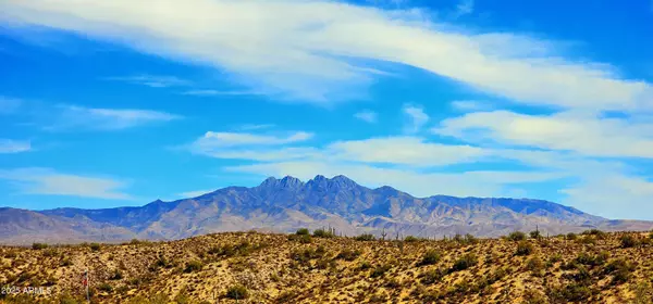 Fort Mcdowell, AZ 85264,14402 N LOST TANK Trail