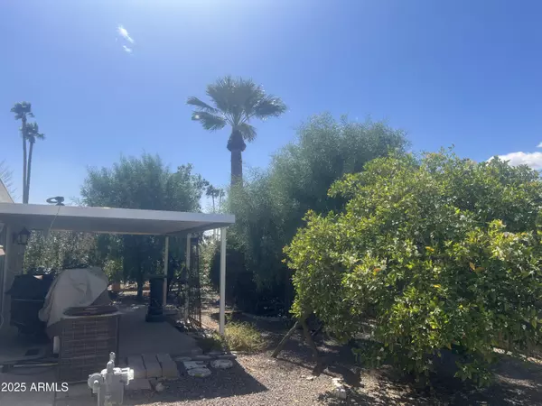 Mesa, AZ 85215,2744 N Trevino Place