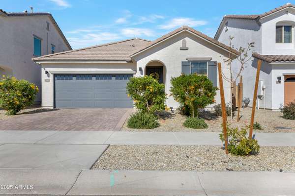 14254 W COTTONTAIL Lane, Surprise, AZ 85387