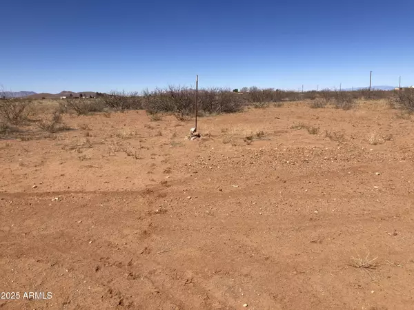 Sunizona, AZ 85625,6160 E San Carlos Drive #14