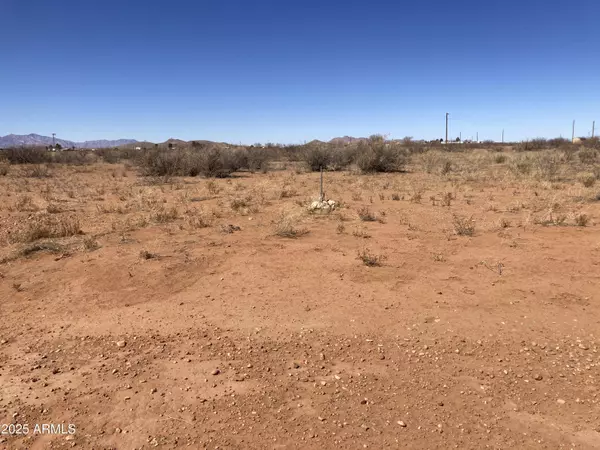 Sunizona, AZ 85625,6160 E San Carlos Drive #14