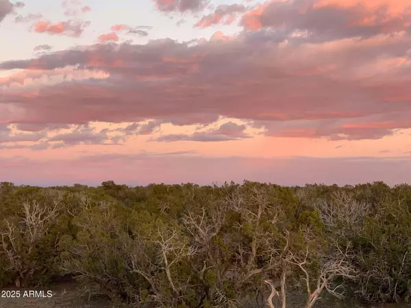 9 COUNTY ROAD N7340 -- #14 St Johns, AZ 85936