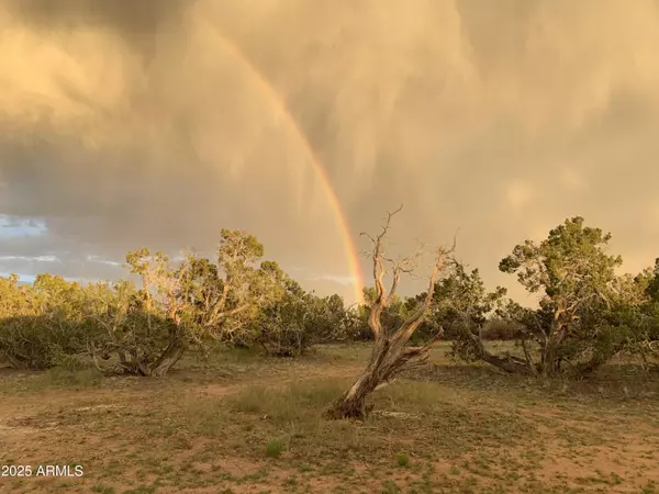 St Johns, AZ 85936,9 COUNTY ROAD N7340 -- #14