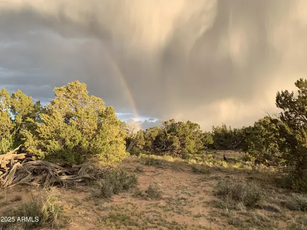 St Johns, AZ 85936,9 COUNTY ROAD N7340 -- #14