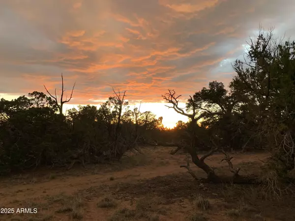 St Johns, AZ 85936,9 COUNTY ROAD N7340 -- #14