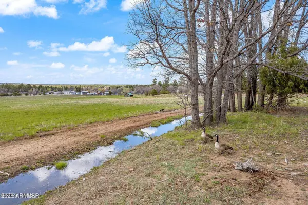 Lakeside, AZ 85929,931 W WOODLAND LAKE Road #13