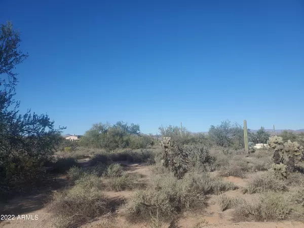 Rio Verde, AZ 85263,170 E Cavedale Drive #-