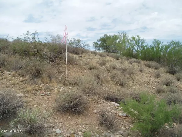 290 W Dove Valley Road #-, Unincorporated County, AZ 85361