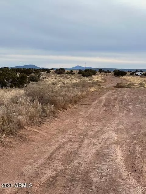 Williams, AZ 86046,4182 E PALOMAR Drive #12