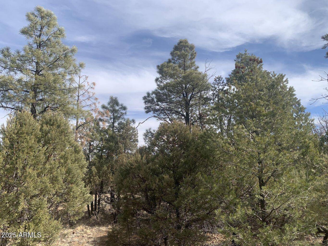 Happy Jack, AZ 86024,7785 W Mogollon Trail #161
