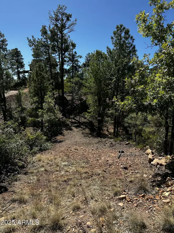 Show Low, AZ 85901,6373 CEDAR CRST -- #197