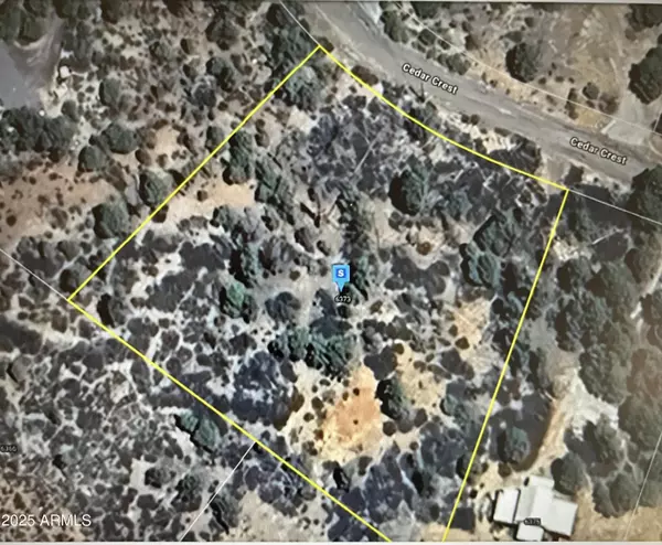 Show Low, AZ 85901,6373 CEDAR CRST -- #197