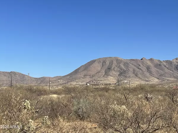 Rio Rico, AZ 85648,1764 CALLE REGINA -- #10
