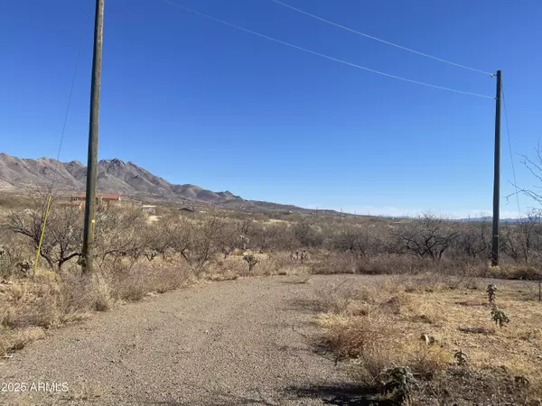 Rio Rico, AZ 85648,1764 CALLE REGINA -- #10