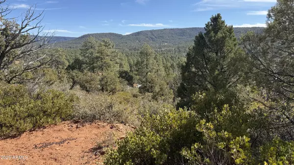 73 W Tomahawk Trail #73, Strawberry, AZ 85544