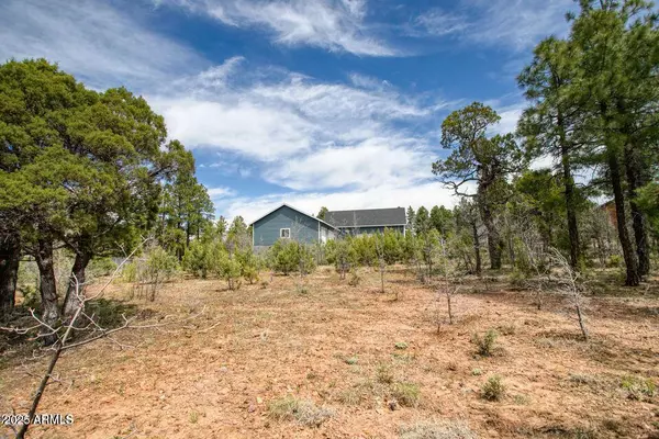 Lakeside, AZ 85929,1481 LACIE Lane #-