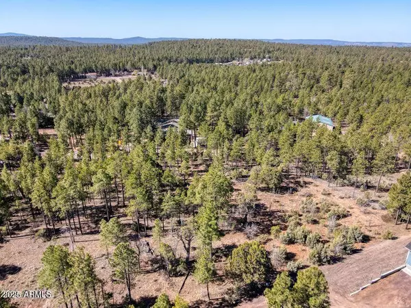 Lakeside, AZ 85929,1481 LACIE Lane #-