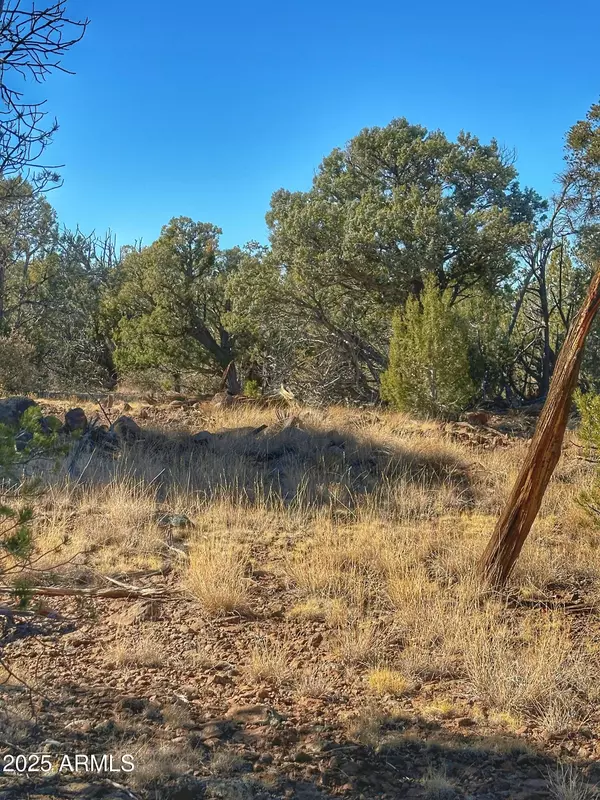 Seligman, AZ 86337,1 N Boulder Ridge Trail #459